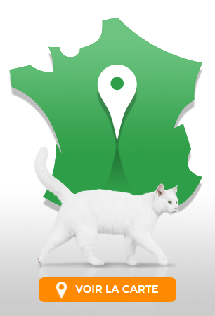 Centre Auto Garage Auto Basse Goulaine Feu Vert