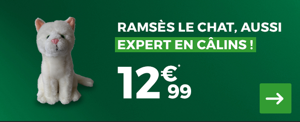 Mascotte Feu Vert Chat Feu Vert