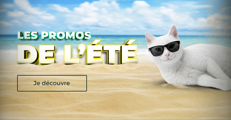 Saisonnier été