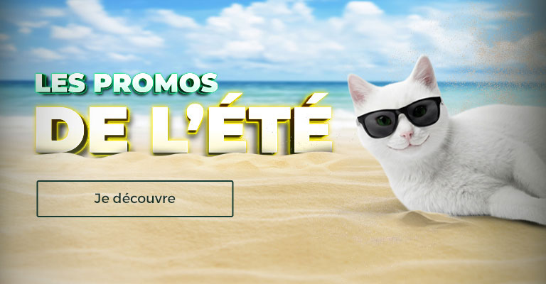 Saisonnier été