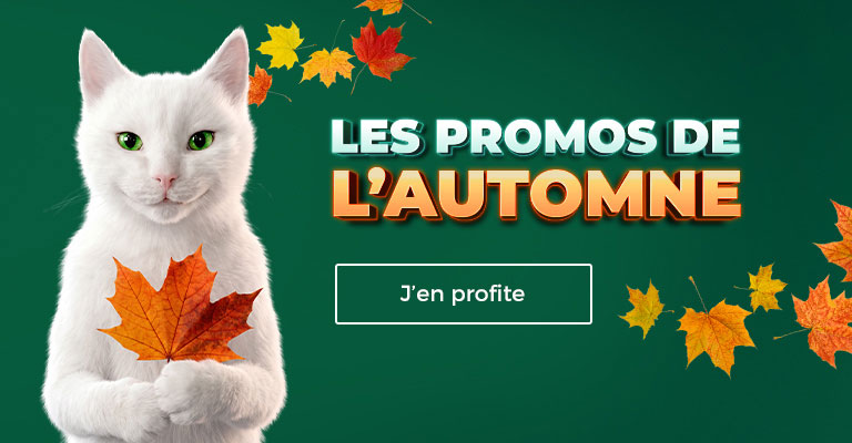 saisonnier automne